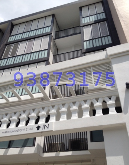 1919 (D9), Apartment #166394342